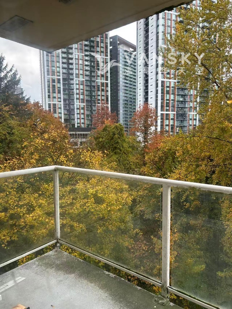 260326234902_surry5 1.jpg